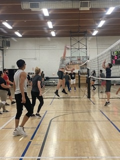 Adult Coed Volleyball League